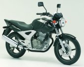 2006 Honda CBF 250 photo
